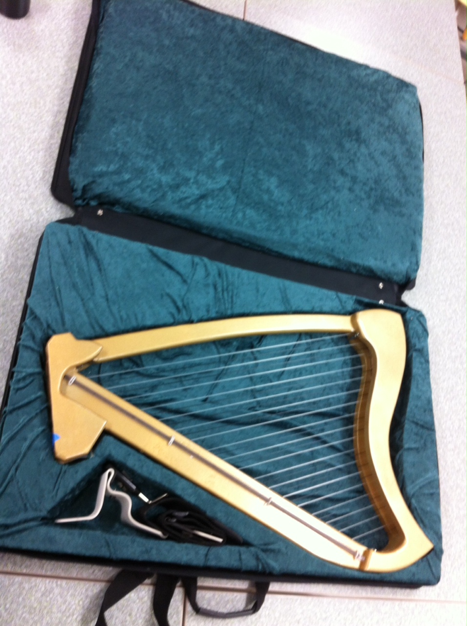 Accessories Cassista Electric Harps